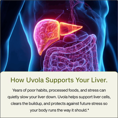 Uvola - Milk Thistle Support