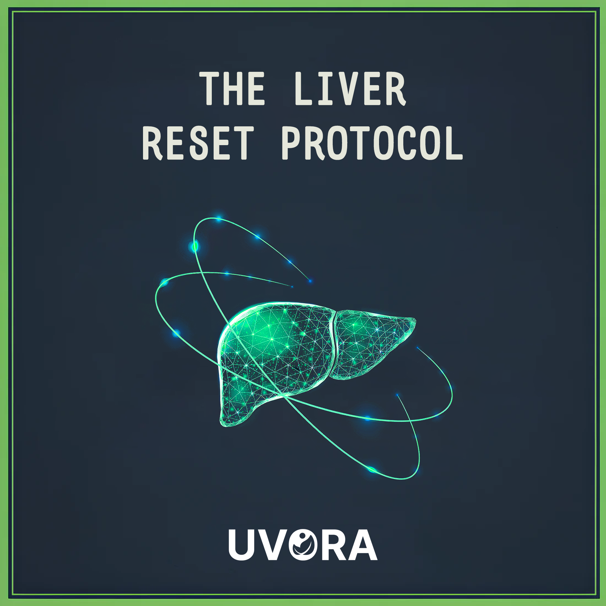 free-liver-reset-protocol-ebook